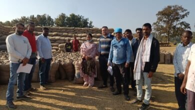 पोड़ी धान मंडी में अनियमितता उजागर, 685 कट्टी धान अधिक मिलने पर तहसीलदार की सख्त कार्रवाई