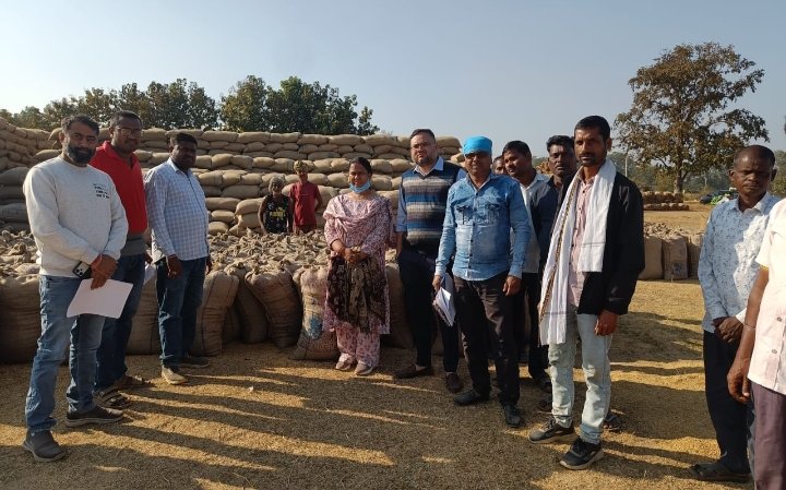 पोड़ी धान मंडी में अनियमितता उजागर, 685 कट्टी धान अधिक मिलने पर तहसीलदार की सख्त कार्रवाई