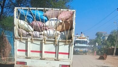 पुलिस दौड़ रही, राजस्व विभाग सो रहा — कोटा में धान माफिया बेखौफ, तहसीलदार–फूड इंस्पेक्टर मंडी उड़न दस्तक टीम कटघरे में