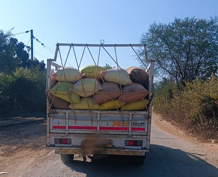 पुलिस दौड़ रही, राजस्व विभाग सो रहा — कोटा में धान माफिया बेखौफ, तहसीलदार–फूड इंस्पेक्टर मंडी उड़न दस्तक टीम कटघरे में