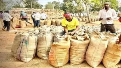 CG Paddy News:– धान खरीदी में अनियमितता पर तीन निलंबित, दो कर्मचारियों का वित्तीय प्रभार समाप्त