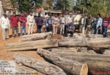 CG:– जंगल क्यों बार-बार कट रहा है? कोटा रेंज में फिर वही आरोपी, फिर वही चोरी