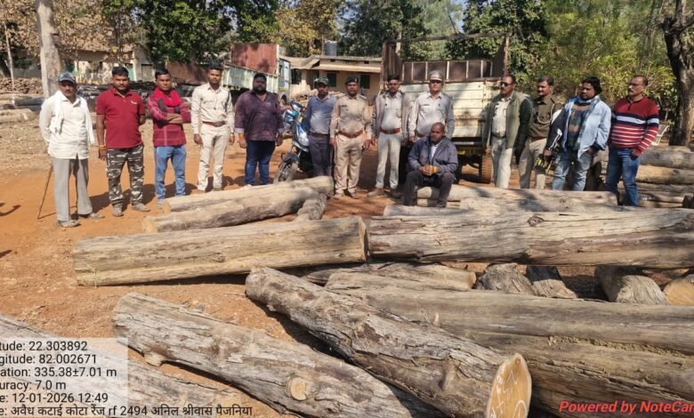 CG:– जंगल क्यों बार-बार कट रहा है? कोटा रेंज में फिर वही आरोपी, फिर वही चोरी
