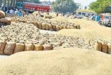 Baludabajar News:– धान खरीदी की हकीकत उजागर, 124 क्विंटल धान कम, केंद्र प्रभारी पर एफआईआर